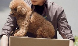 唐嫣最新爆料孙俪图片,揭秘明星生活点滴